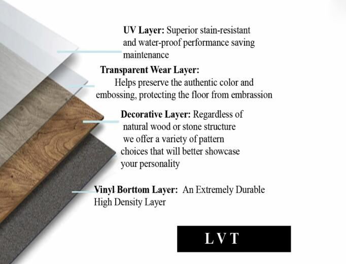 Estructura lvt