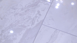 Azulejo de vinilo gallo5